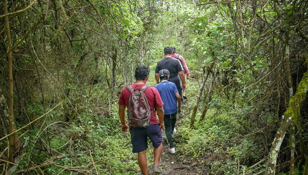 Scorcio della foresta all'interno della riserva