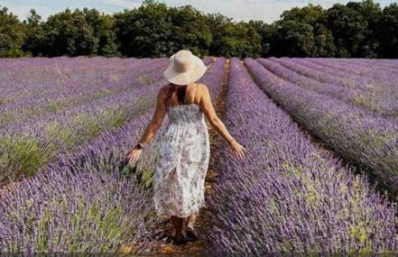 BOHO 2 Vue Panoramique - Foto 31