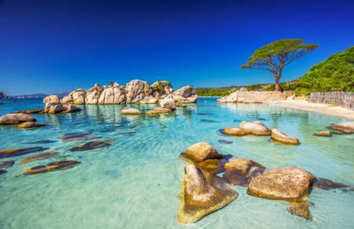 Grande maison avec piscine - Foto 13