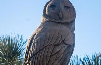 Finca Pico - Foto 37