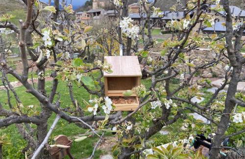 Idílico refugio de montaña ideal escapadas - Foto 19