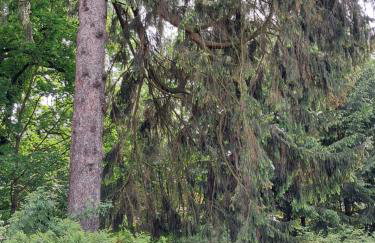 Przy pałacu - Foto 25