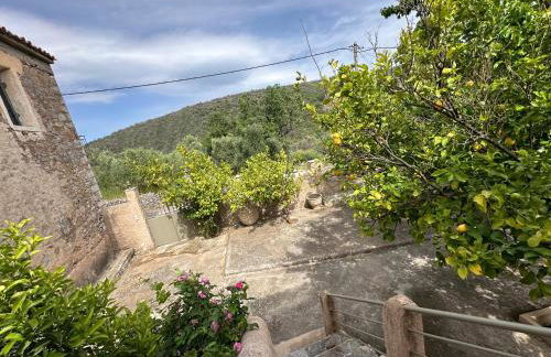 Πυργοσπιτο Χαντζακου - Foto 16