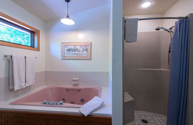 The Rushes - Foto 24