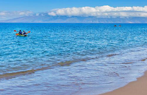 Maui Kaanapali Villas A116 - Photo 29