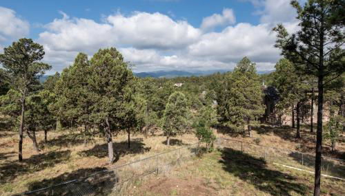 Christi and Don's Nuthouse by Ruidoso Vacation Rentals - Foto 4