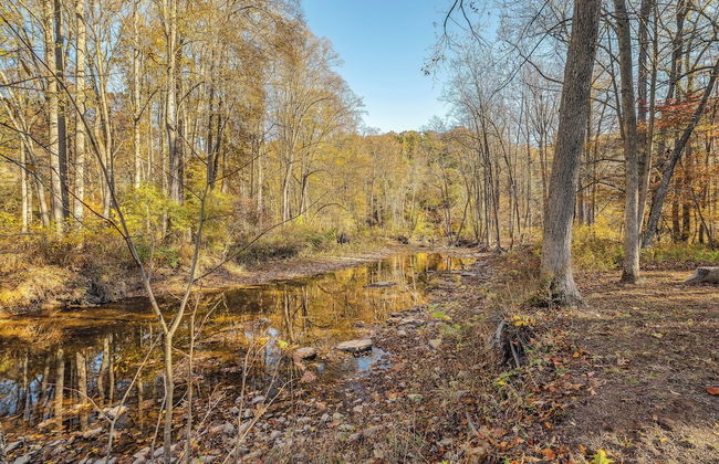 Mariposa Moon Cottage at Sleepy Creek - Foto 31