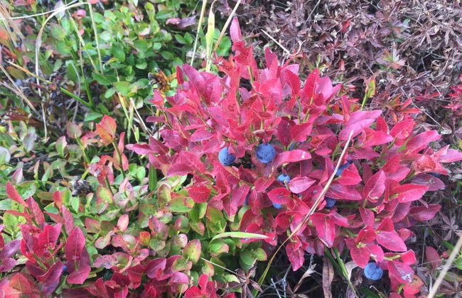 Amici 1. OG West - Foto 50