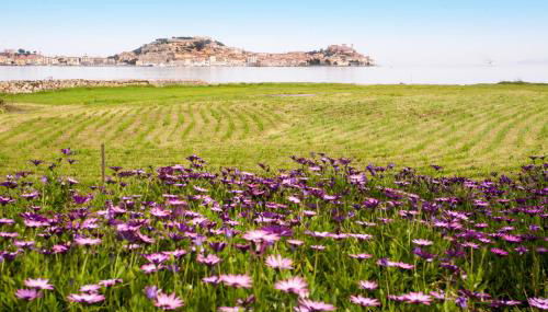 Appartamento Podere San Marco - Bilocale - Foto 3, Garden, Garden view