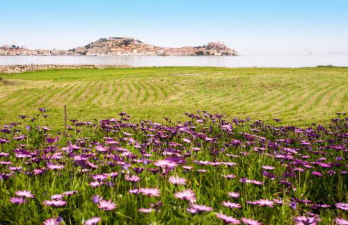 Appartamento Podere San Marco - Bilocale - Foto 3