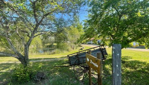 Quinta dos Trevos - Artes e Ofícios - Foto 2, Garden