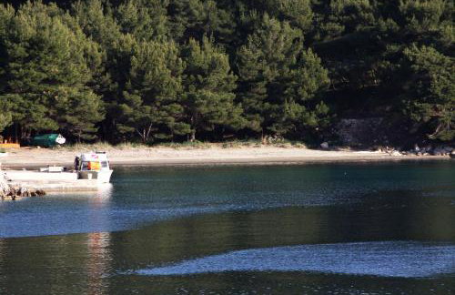 Apartments with parking space Korita, Mljet - 22342 - Foto 6