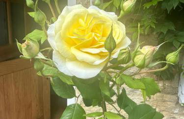 Cotswold Cottage - Foto 23