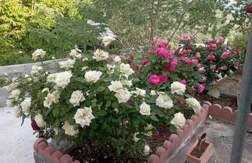 Rose Garden Cottage - Foto 9