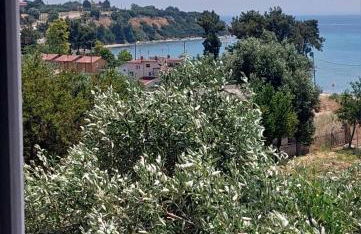 Summer Project Theros - Foto 53