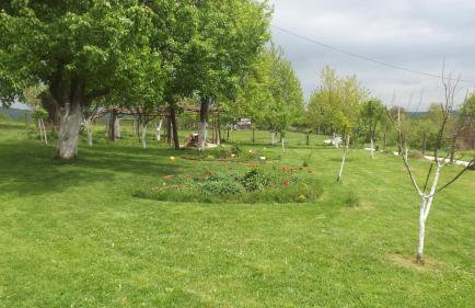 House Luna - Foto 34