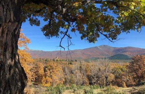 Refugios Del Valle Negro - Foto 80