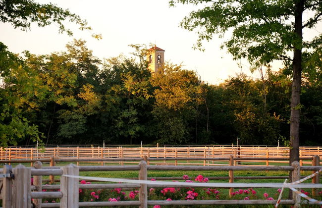 Agriturismo Il Boschetto - Photo 29