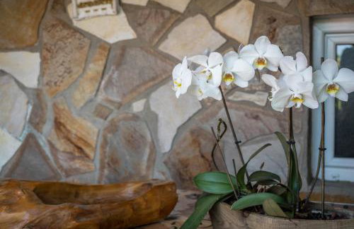 Ferienwohnung Insel Reichenau - Foto 8