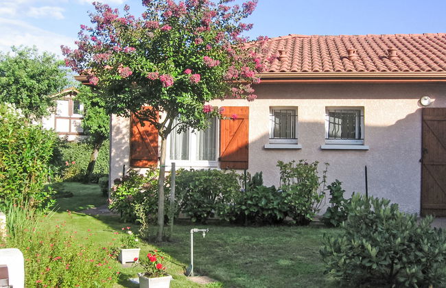 Bosquet aux Ecureuils - Foto 14