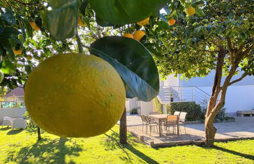 Villa Rosa - Foto 46