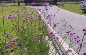 Pokoje Czajka- Agroturystyka - Photo 9