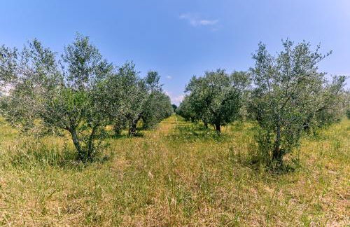 Villetta nel cuore del Salento - Foto 11