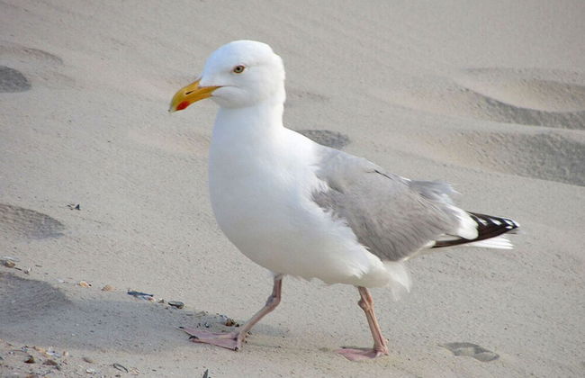 Old Printing House Holiday Apartment Cicero - Foto 11