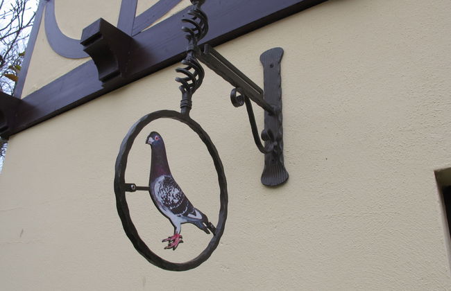 2 bedroom House in Splietsdorf with garden and terrace - Photo 14