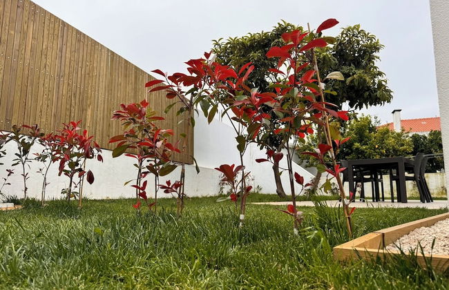 D'Felicidade - Foto 35