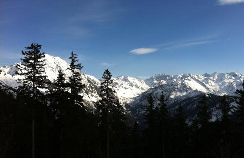 Appartements Le Clos des Gentianes - Foto 29