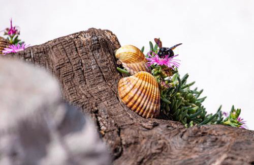 Holiday house ANABELLA - Foto 31