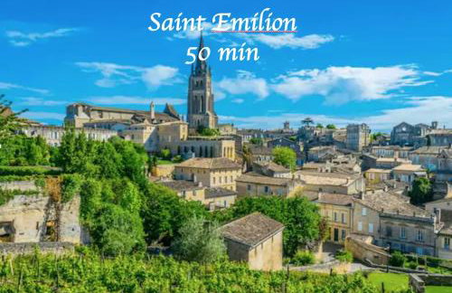 Studio cosy wifi terrasse CHU-Cite administrative-Primrose - Foto 9