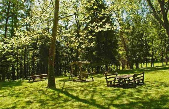 Unique and Secluded Country Estate Near Pittsburgh - Foto 26