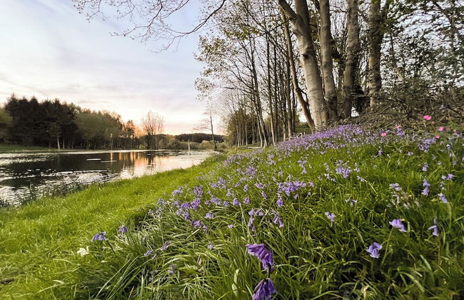 North Norfolk Glamping - Foto 32