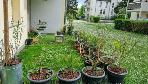 L'univers au blanc. - Photo 3, Garden view