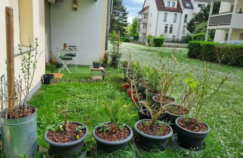 L'univers au blanc. - Photo 3