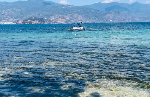 Seaside studio for 3 people - Alykes beach - Photo 17