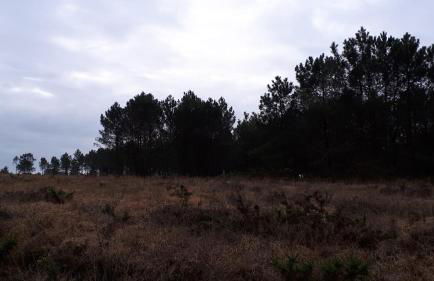 Gîte LES CHANTS DU CREPUSCULE - Foto 39