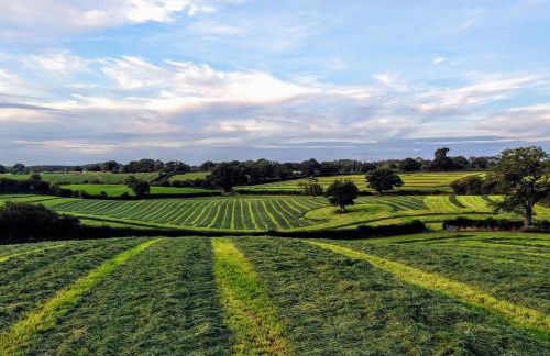 Rainbow View - Foto 12