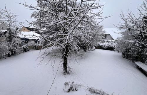 Großes Apartment Aschaffenburg 4 Schlafzimmer bis zu 10 Personen Mainpark Apartment Mainaschaff - Foto 52