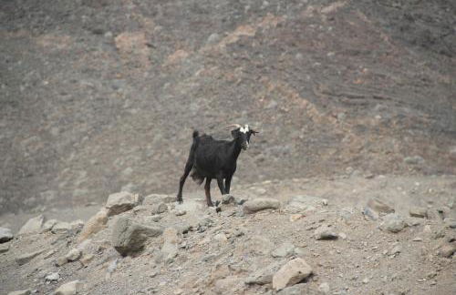 Casa Playa Paraiso Beach CS - Foto 39