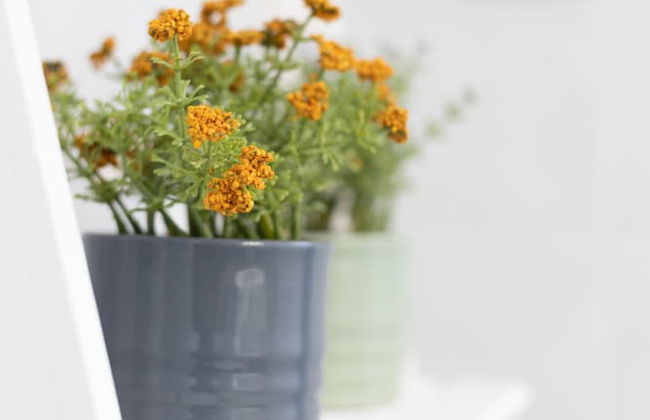 AKTI APOLLONA - Foto 17