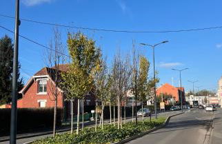 Aux pieds des terrils - Foto 23