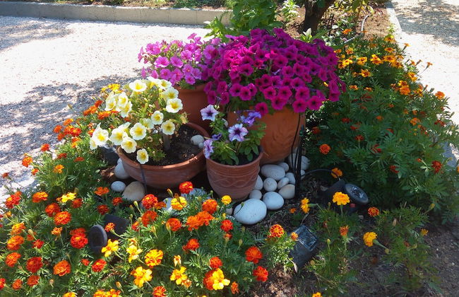 Casa Della Felicitá - Photo 18