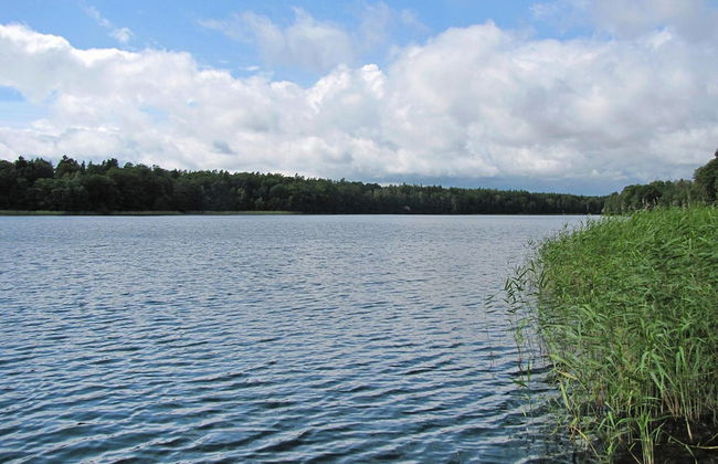 Holiday Home Right on the Lake, Florczaki - Foto 18