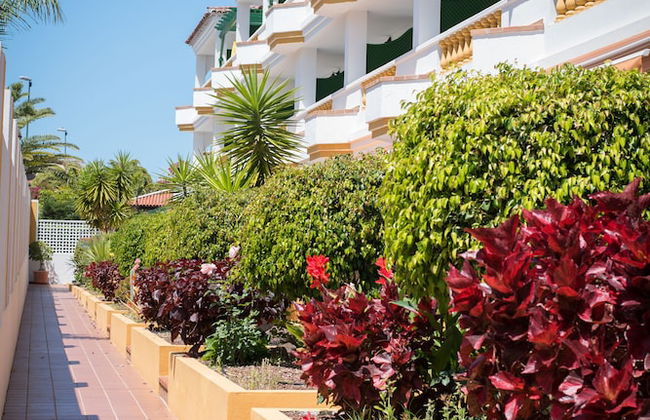 Club Tarahal - Foto 52