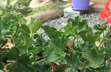 Casa Maddalena - Foto 4