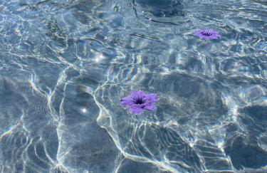 Nakupenda Relais - Foto 34