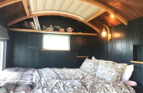 Astronomer Shepherd's hut - Foto 20